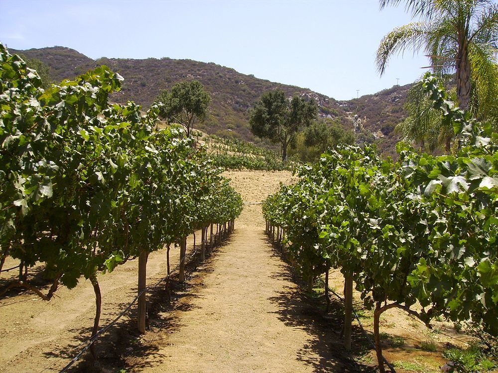 Hotel Vineyard Hacienda à Spring Valley  Extérieur photo